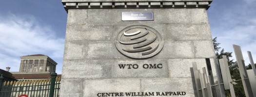 Membership with a Price: Weakened Sovereignty in the Age of the WTO