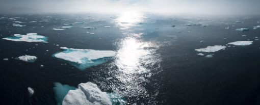 Climate Change: Investigating the Hurdles to Action