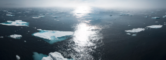 Climate Change: Investigating the Hurdles to Action