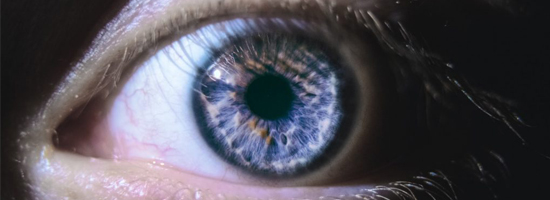New Methods for Regrowing Nerves could Reverse Blindness