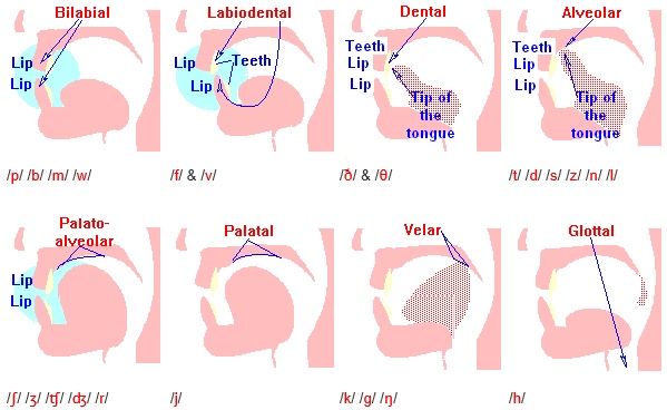 Sounds Pronunciation