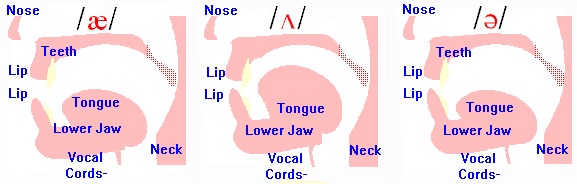 what is a schwa sound